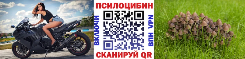 Псилоцибиновые грибы Psilocybine cubensis  купить наркоту  Полярные Зори 